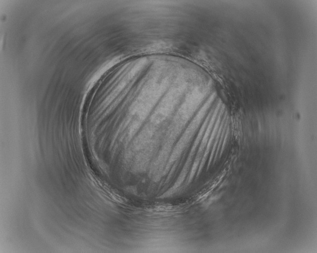 X0000070820196200607071725