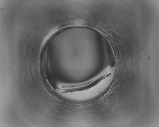 X0000070820200200607071725