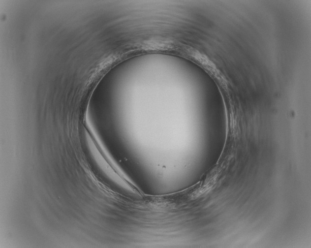 X0000070820201200607071725