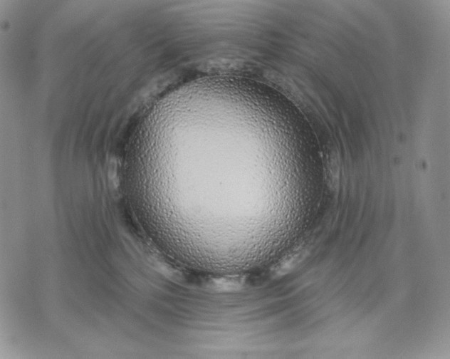 X0000070820232200607071724