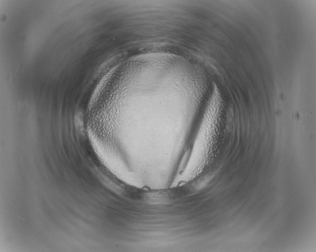 X0000070820238200607071724