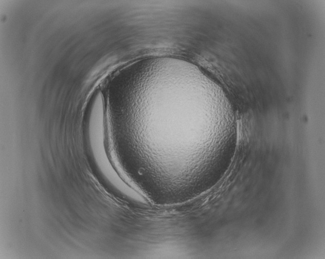 X0000070820243200607071723