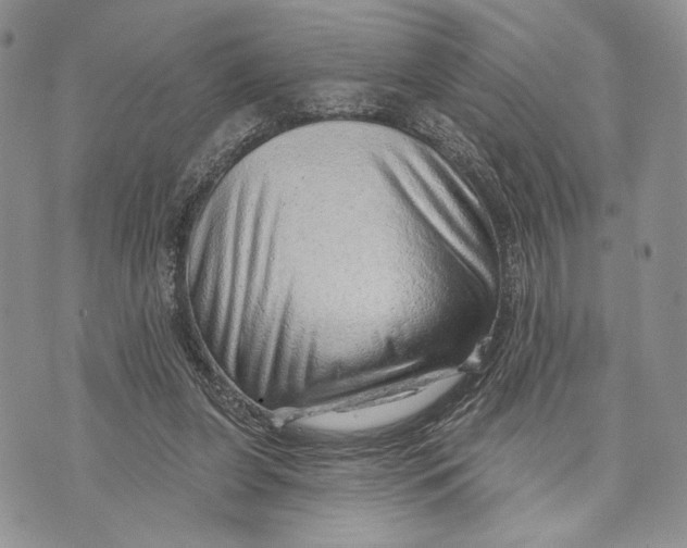 X0000070820255200607071724