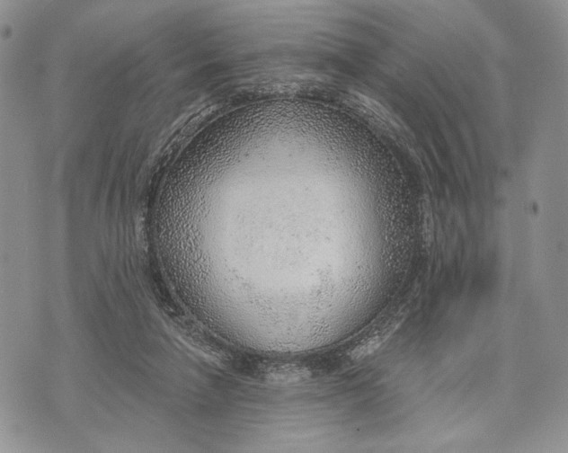 X0000070820258200607071724