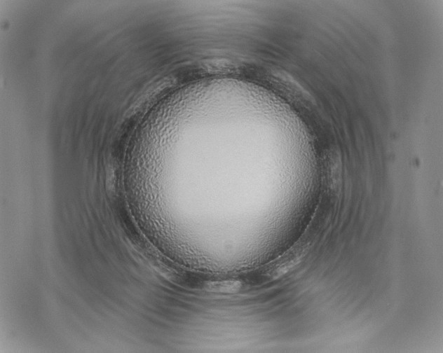 X0000070820266200607071724