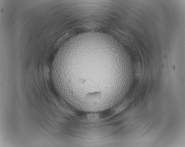 X0000070820279200607071724