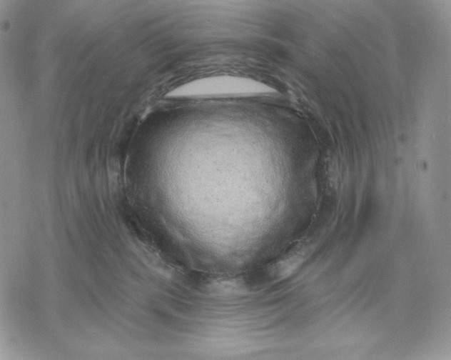 X0000070820283200607071724