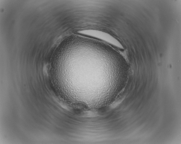 X0000070820286200607071724