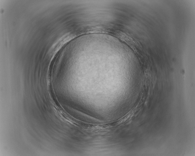 X0000070820290200607071723