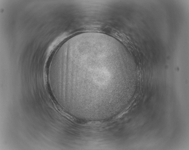 X0000070820294200607071723