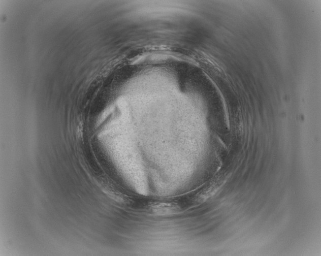 X0000070820315200607071723