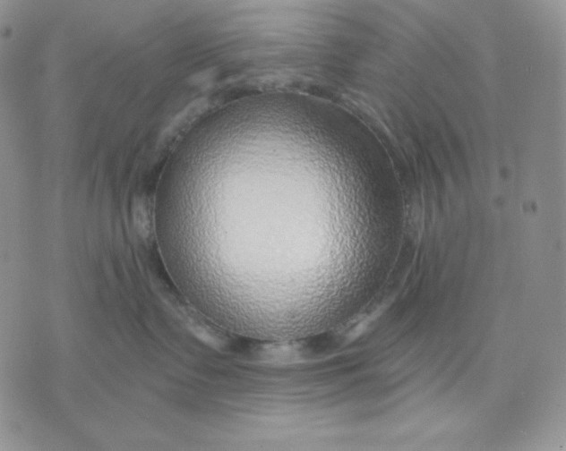 X0000070820335200607071723