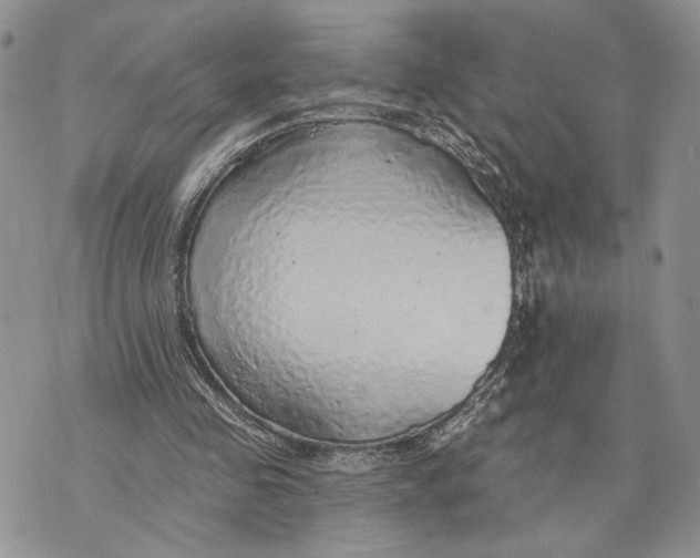 X0000070820341200607071722