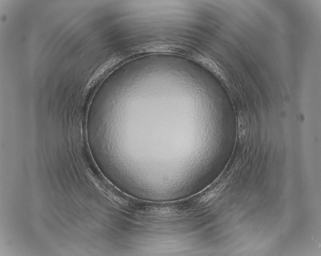X0000070820349200607071722