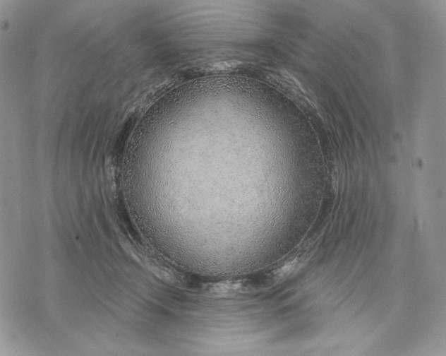 X0000070820366200607071722