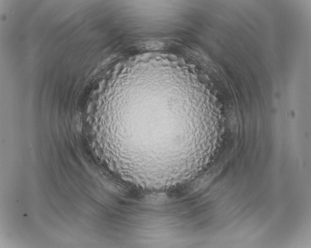 X0000070820374200607071722
