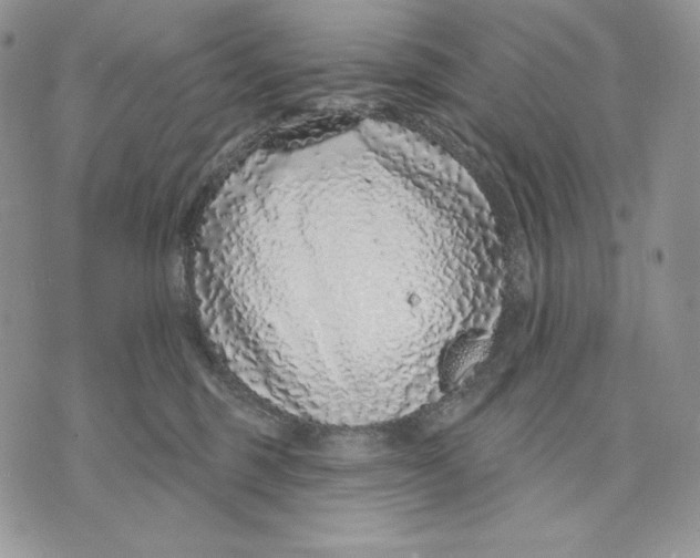 X0000070820375200607071722