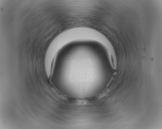 X0000070820376200607071722