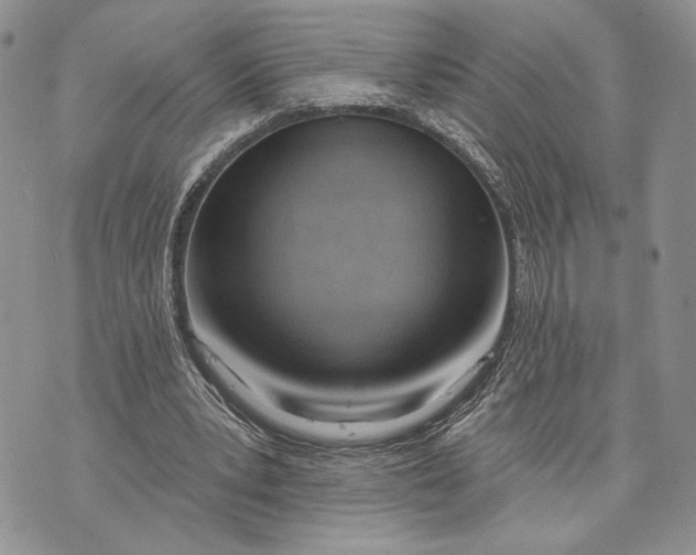 X0000070820391200607071722