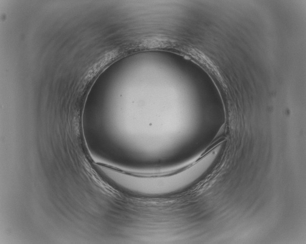 X0000070820393200607071722