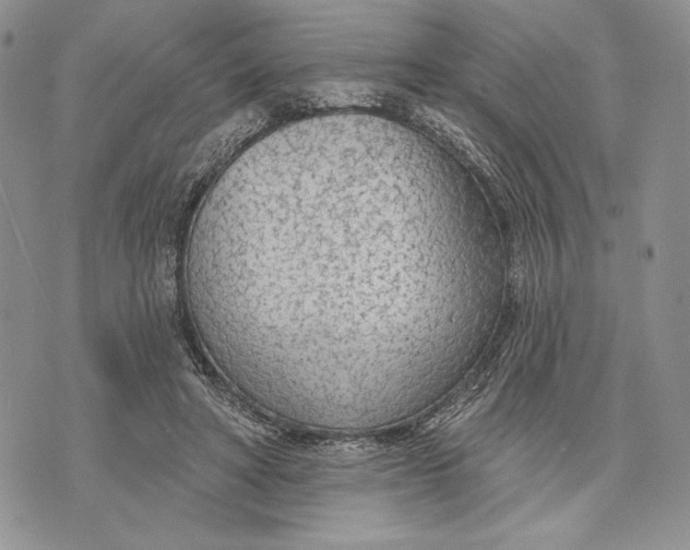 X0000070820402200607071721