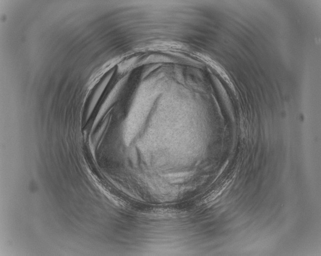 X0000070820437200607071720