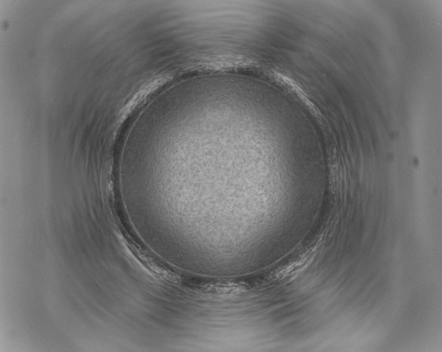 X0000070820443200607071720