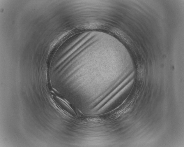 X0000070820446200607071720