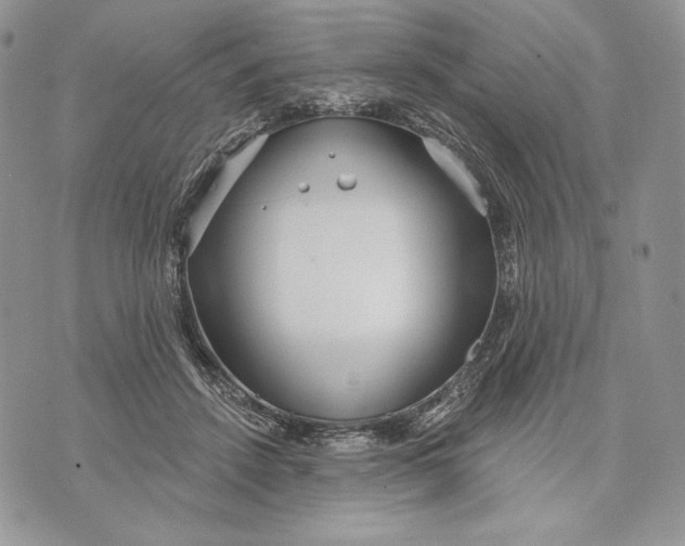 X0000070820456200607071721