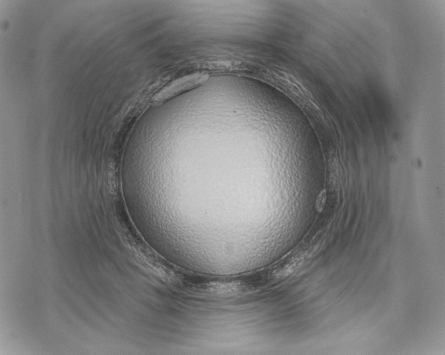 X0000070820457200607071721