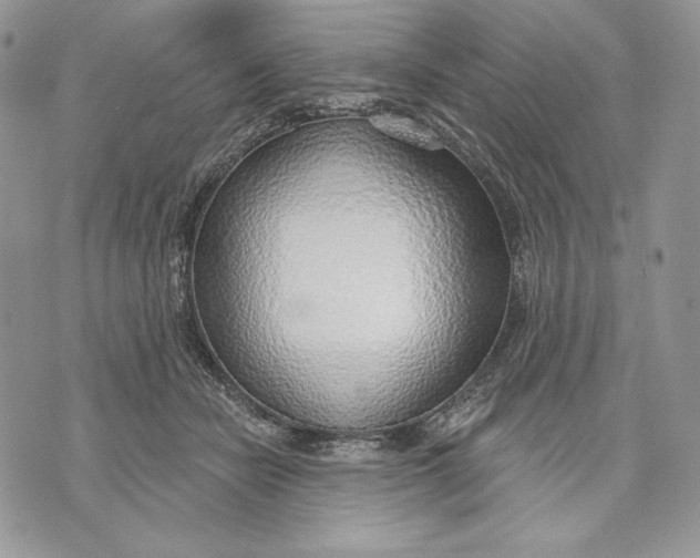 X0000070820462200607071721