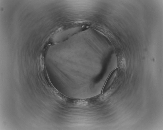 X0000070820471200607071721