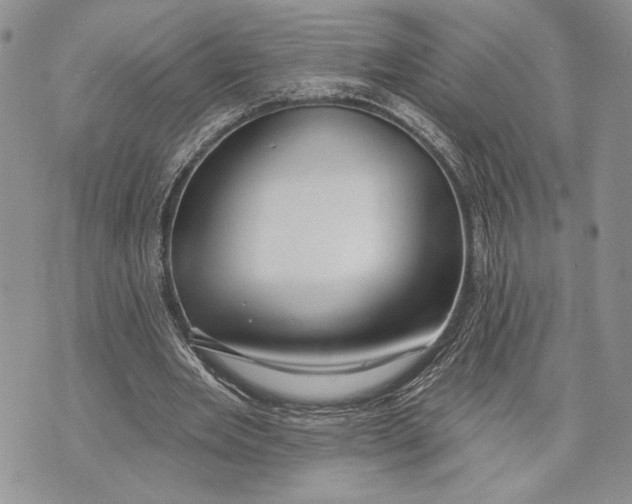 X0000070820485200607071720