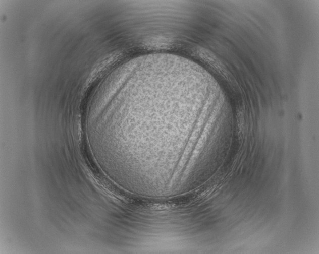X0000070820494200607071720