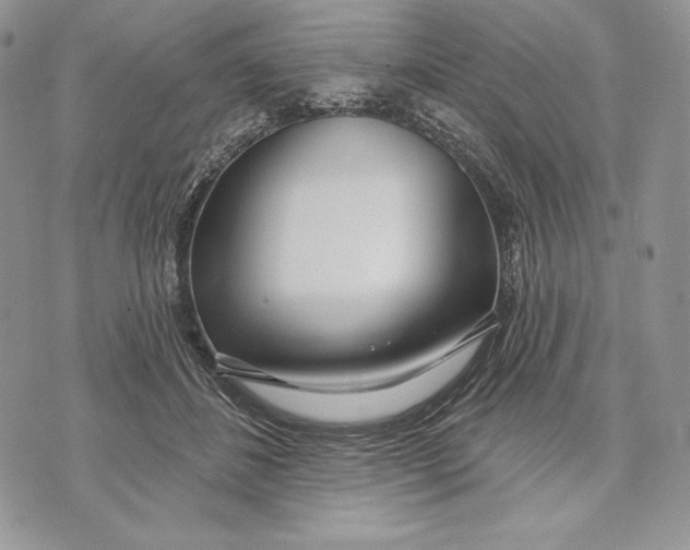 X0000070820508200607071720