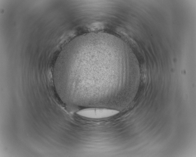 X0000070820523200607071719