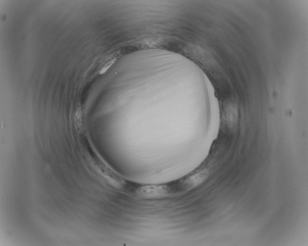X0000070820526200607071719