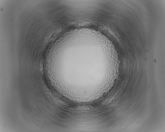X0000070820545200607071719