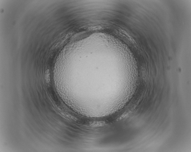 X0000070820549200607071719