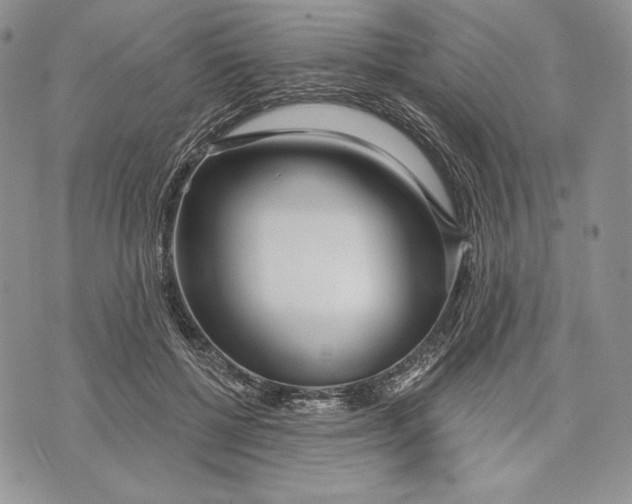 X0000070820552200607071719