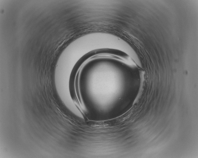 X0000070820556200607071719