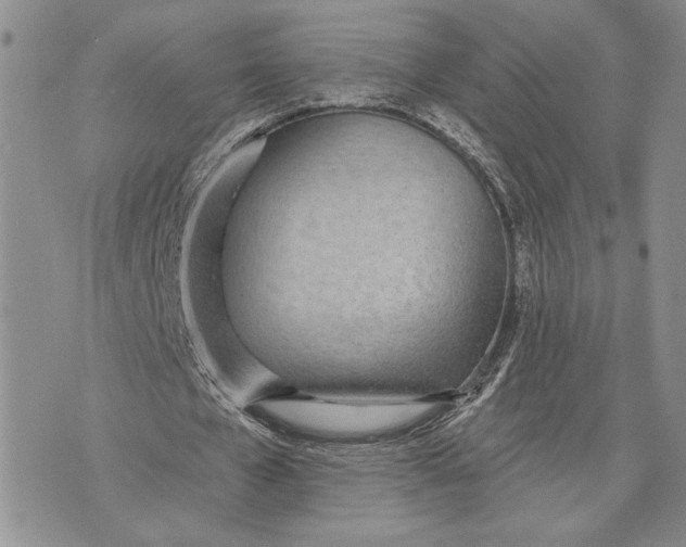 X0000070820577200607071719