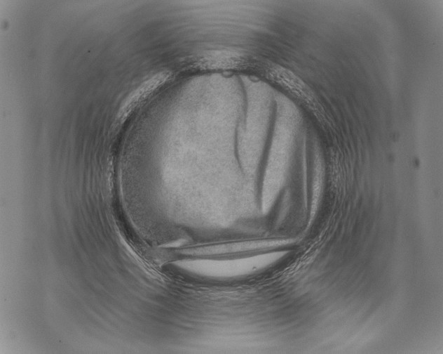 X0000070820586200607071718