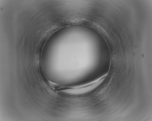 X0000070820593200607071718