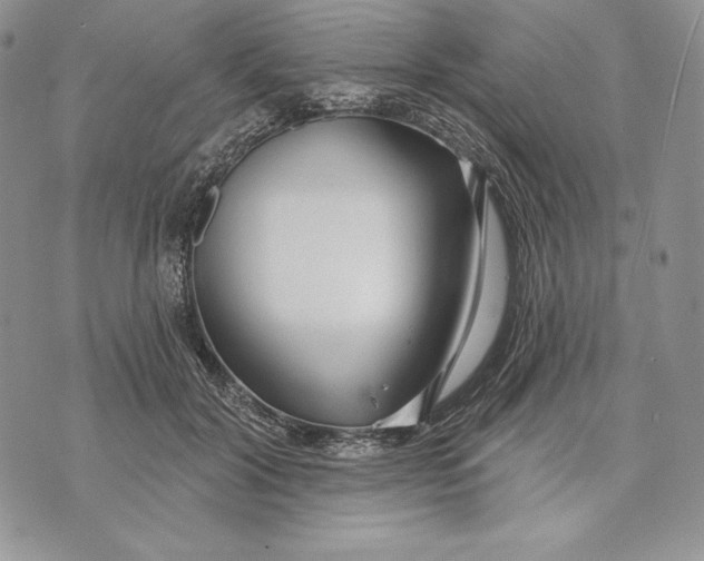 X0000070820604200607071718