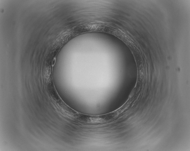 X0000070820605200607071718