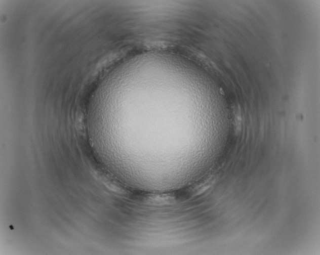 X0000070820619200607071718