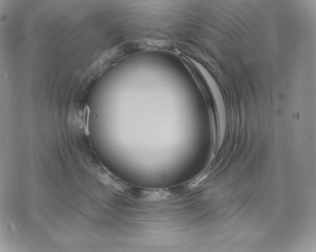 X0000070820621200607071718