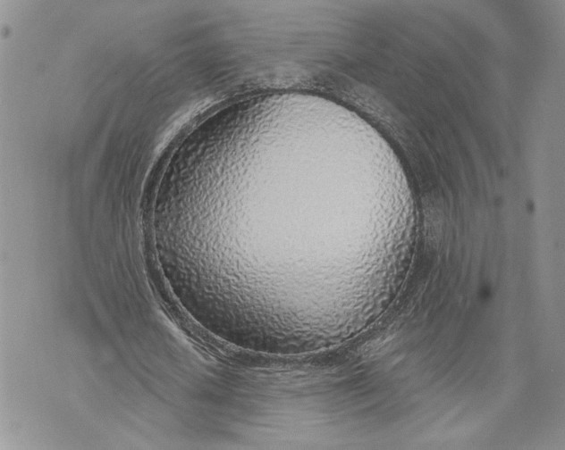X0000070820626200607071717