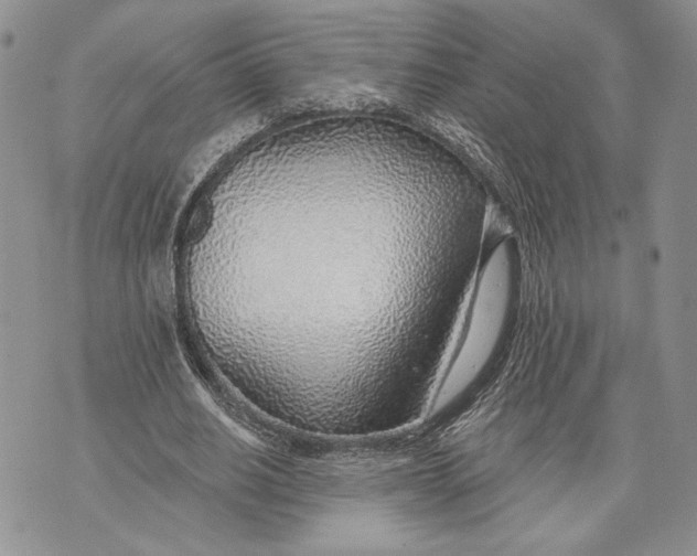 X0000070820630200607071717